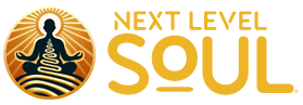 Next Level Soul Shop