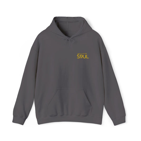 Next Level Soul Cozy Unisex Hoodie