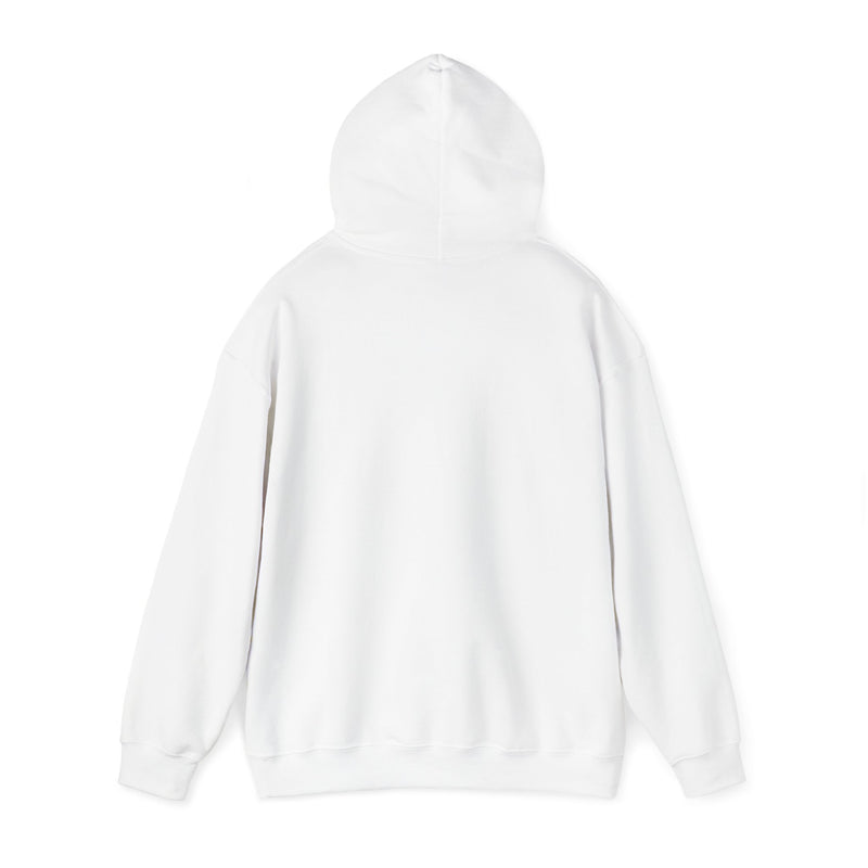 Load image into Gallery viewer, Next Level Soul Unisex Hooded Sweatshirt
