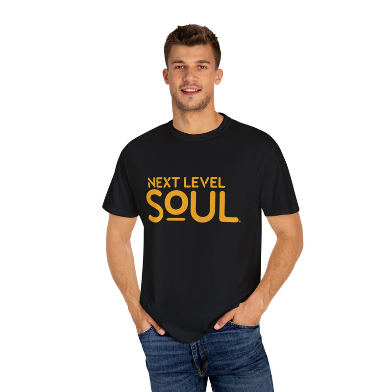 Load image into Gallery viewer, Next Level Soul Unisex T-Shirt
