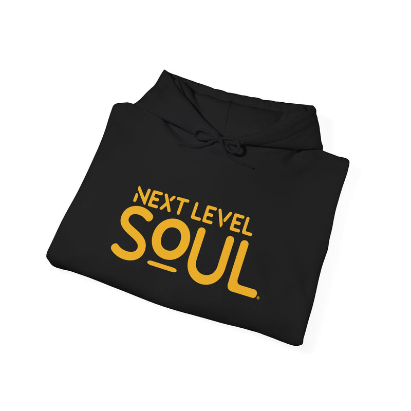 Load image into Gallery viewer, Next Level Soul Unisex Hooded Sweatshirt
