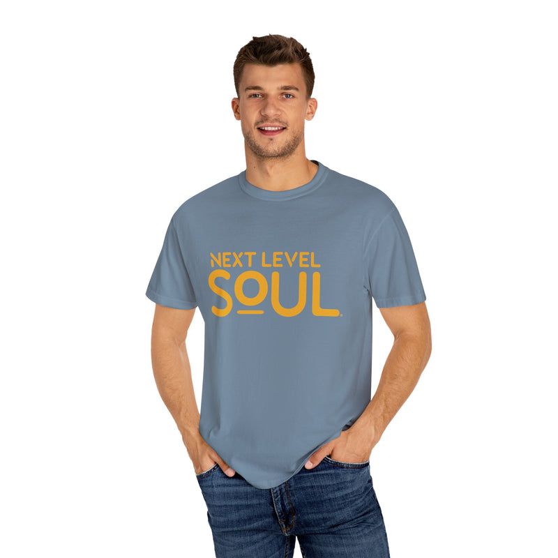 Load image into Gallery viewer, Next Level Soul Unisex T-Shirt
