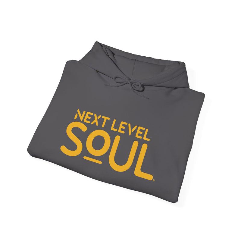 Load image into Gallery viewer, Next Level Soul Unisex Hooded Sweatshirt
