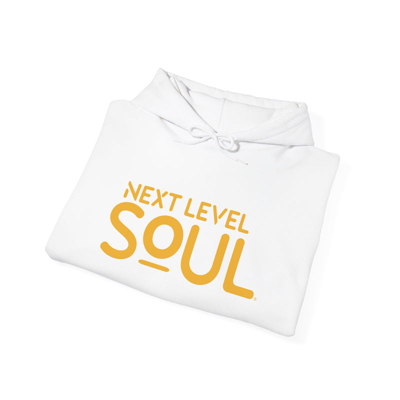 Load image into Gallery viewer, Next Level Soul Unisex Hooded Sweatshirt
