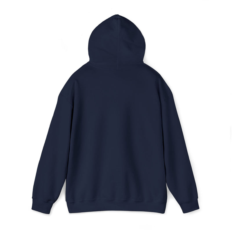 Load image into Gallery viewer, Next Level Soul Cozy Unisex Hoodie
