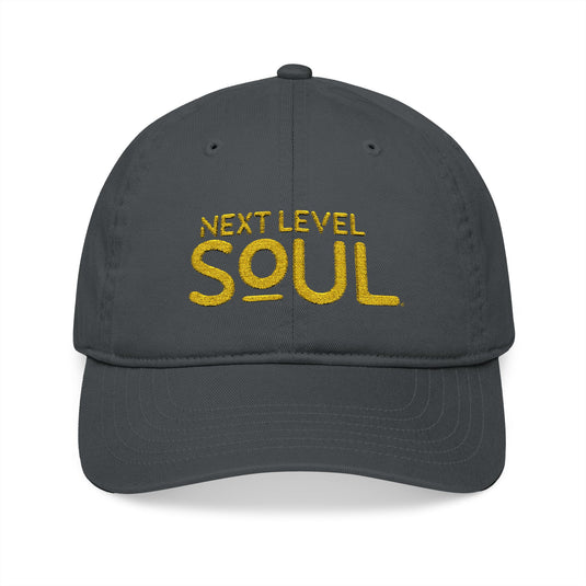 Next Level Soul Organic Cap