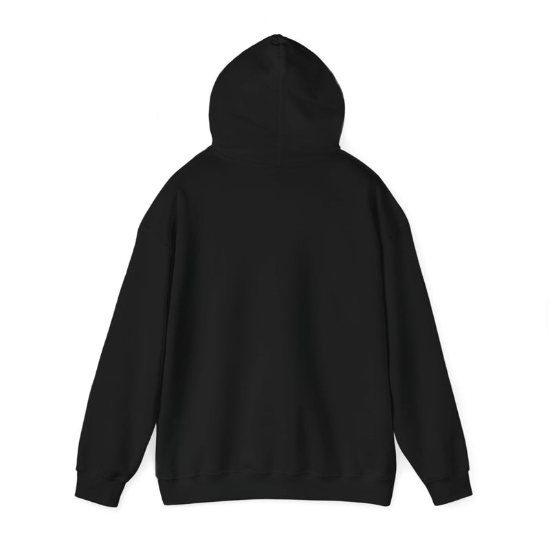 Load image into Gallery viewer, Next Level Soul Unisex Hooded Sweatshirt
