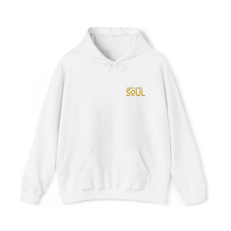 Load image into Gallery viewer, Next Level Soul Cozy Unisex Hoodie
