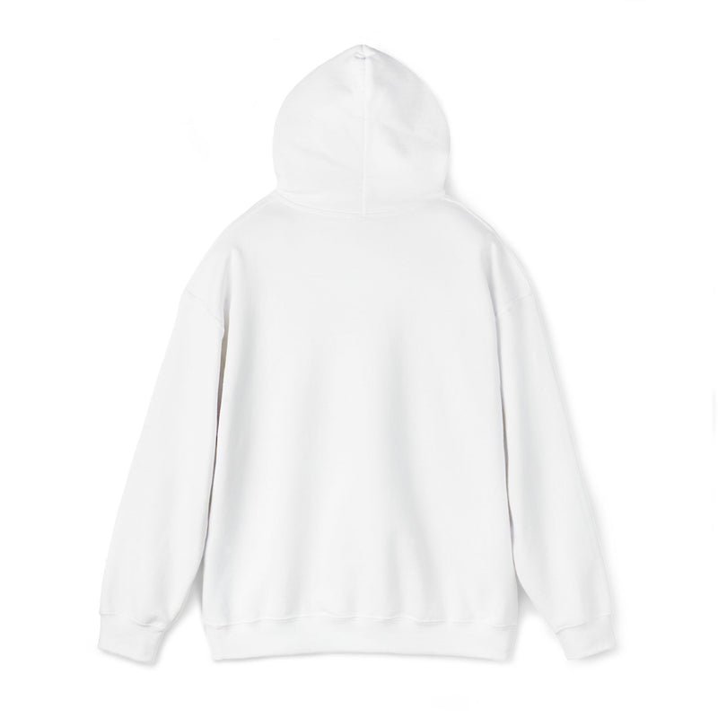 Load image into Gallery viewer, Next Level Soul Cozy Unisex Hoodie
