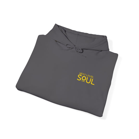 Next Level Soul Cozy Unisex Hoodie