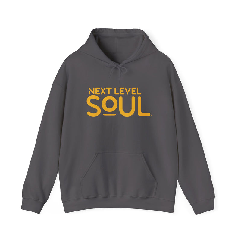 Load image into Gallery viewer, Next Level Soul Unisex Hooded Sweatshirt
