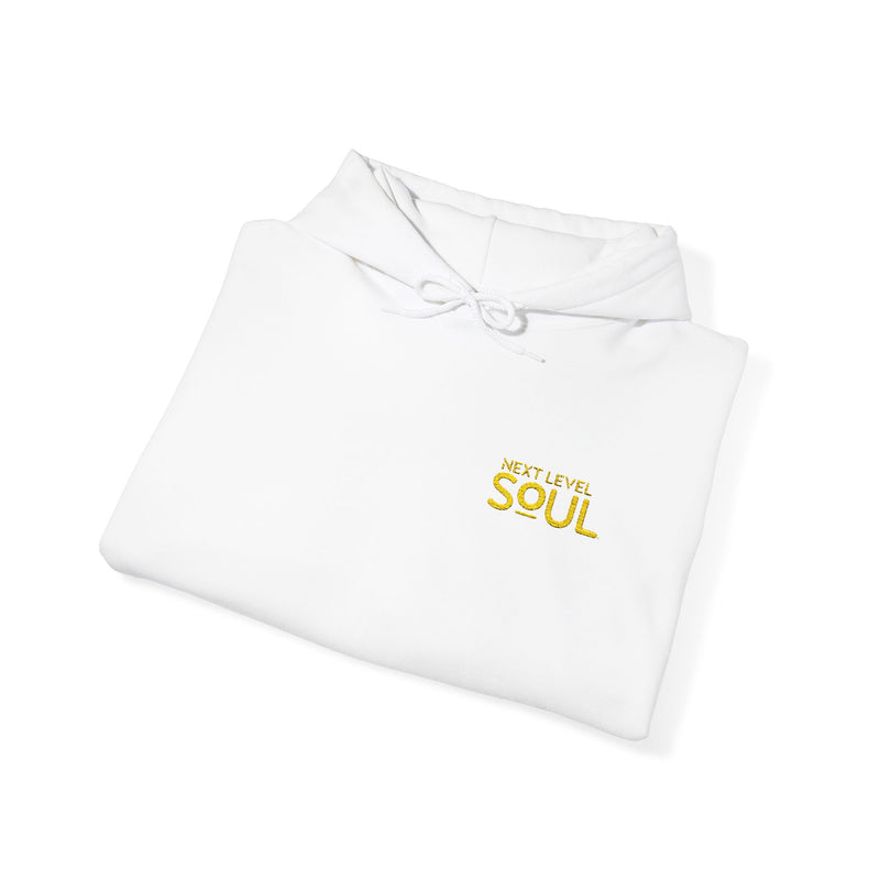 Load image into Gallery viewer, Next Level Soul Cozy Unisex Hoodie
