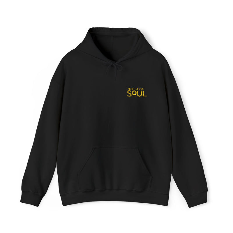 Load image into Gallery viewer, Next Level Soul Cozy Unisex Hoodie
