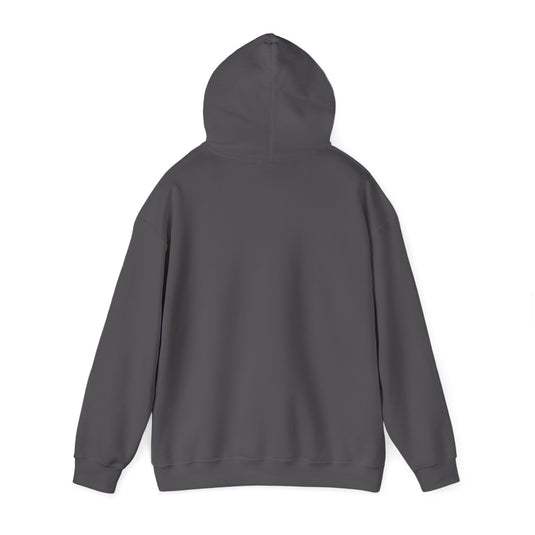 Next Level Soul Unisex Hooded Sweatshirt